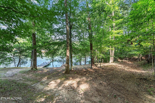 2117 Lakepoint Dr, Knoxville, TN 37922 - photo 49