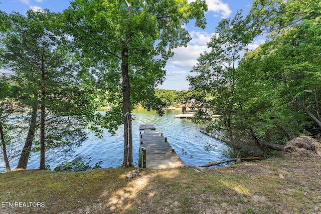 2117 Lakepoint Dr, Knoxville, TN 37922 - photo 50