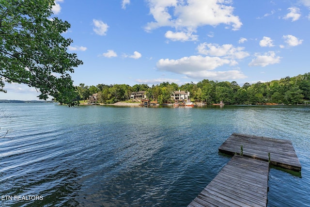 2117 Lakepoint Dr, Knoxville, TN 37922 - photo 3