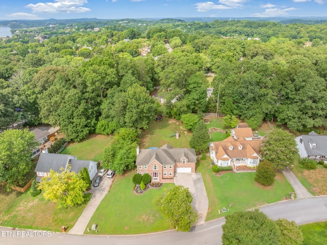 1825 Scenic Valley Ln, Knoxville, TN 37922 - photo 49