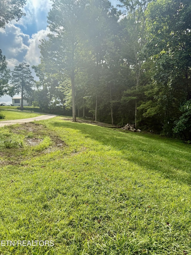 227 Southern Ln, Tazewell, TN 37879 - photo 16