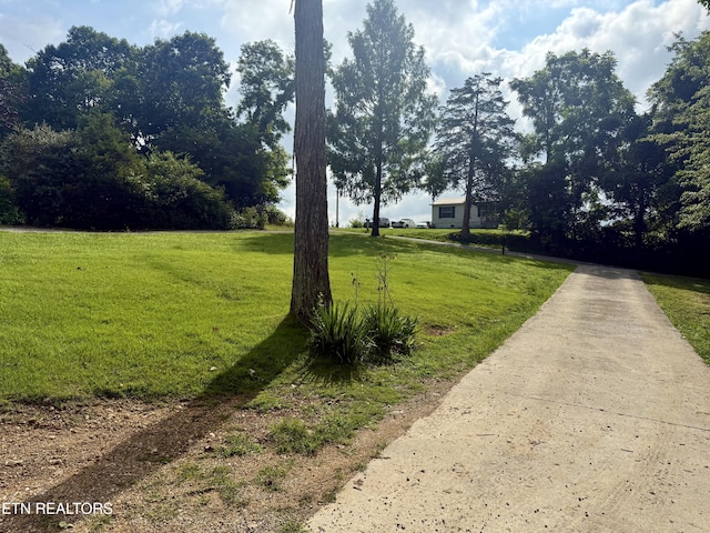 227 Southern Ln, Tazewell, TN 37879 - photo 11
