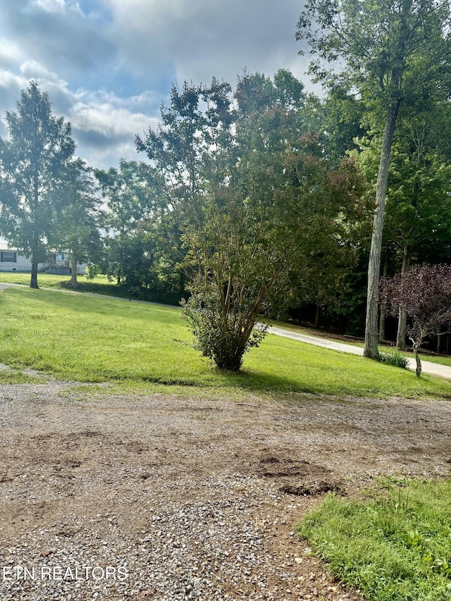 227 Southern Ln, Tazewell, TN 37879 - photo 18