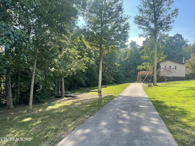 227 Southern Ln, Tazewell, TN 37879 - photo 4