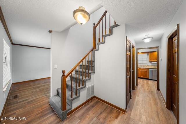 9737 Clearwater Dr, Knoxville, TN 37923 - photo 7
