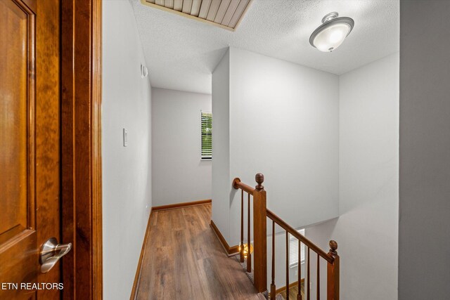 9737 Clearwater Dr, Knoxville, TN 37923 - photo 21