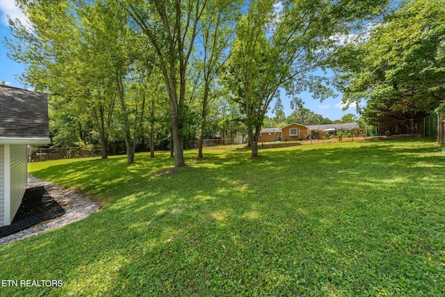 9737 Clearwater Dr, Knoxville, TN 37923 - photo 33