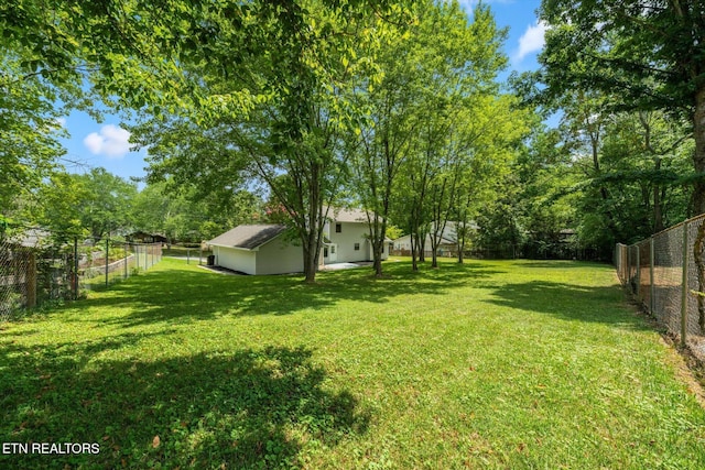 9737 Clearwater Dr, Knoxville, TN 37923 - photo 34