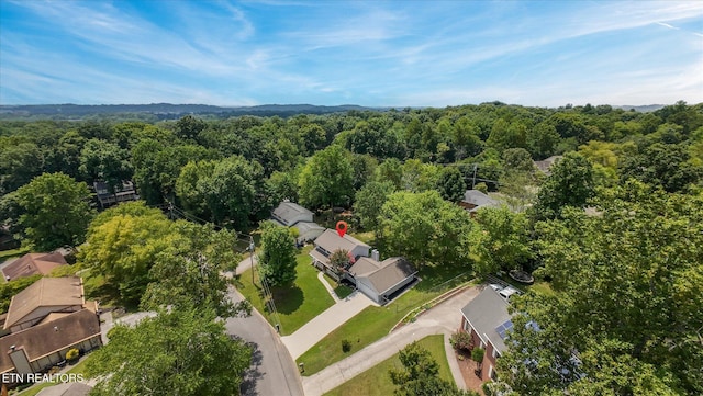 9737 Clearwater Dr, Knoxville, TN 37923 - photo 40