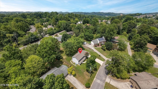 9737 Clearwater Dr, Knoxville, TN 37923 - photo 42