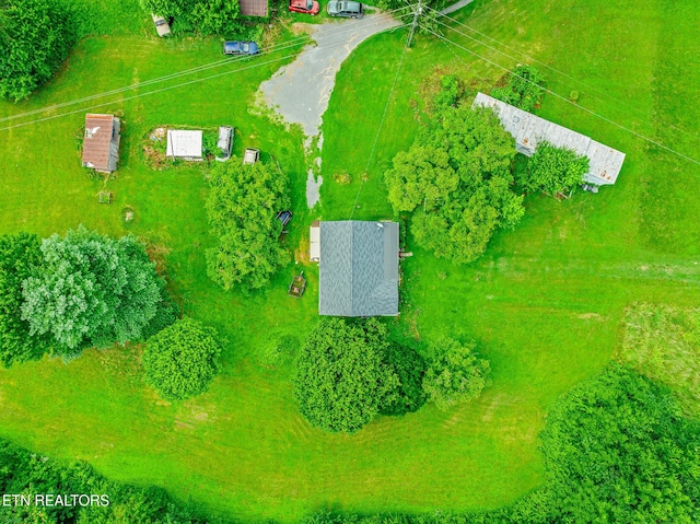 2205 Shipetown Rd, Mascot, TN 37806 - photo 19