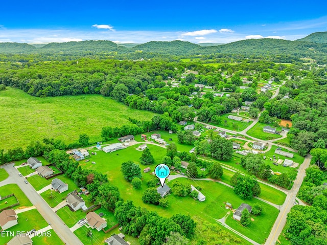 2205 Shipetown Rd, Mascot, TN 37806 - photo 24