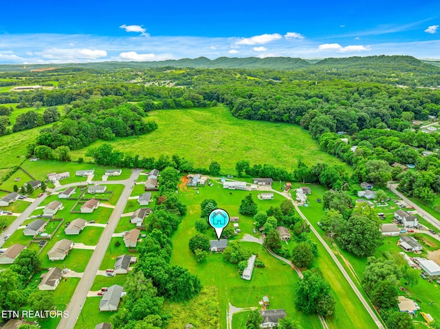 2205 Shipetown Rd, Mascot, TN 37806 - photo 25