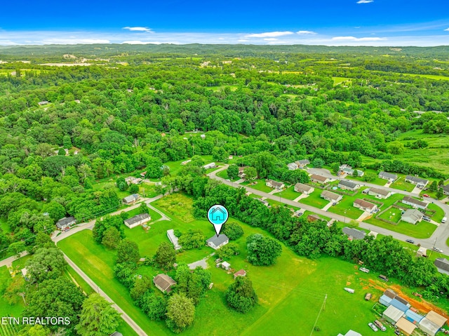 2205 Shipetown Rd, Mascot, TN 37806 - photo 28