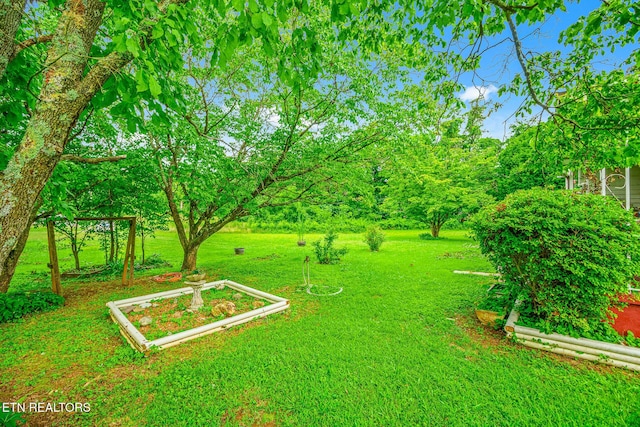 2205 Shipetown Rd, Mascot, TN 37806 - photo 15