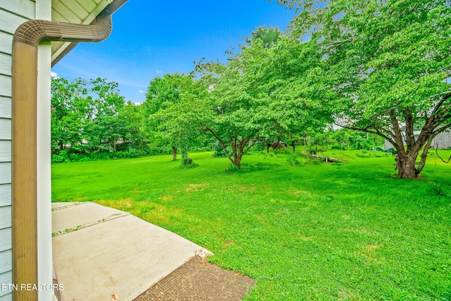 2205 Shipetown Rd, Mascot, TN 37806 - photo 13