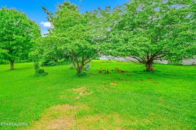 2205 Shipetown Rd, Mascot, TN 37806 - photo 17