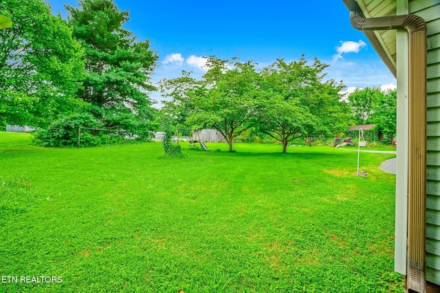 2205 Shipetown Rd, Mascot, TN 37806 - photo 12