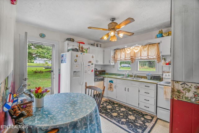 2205 Shipetown Rd, Mascot, TN 37806 - photo 7