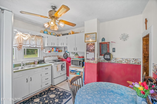 2205 Shipetown Rd, Mascot, TN 37806 - photo 8