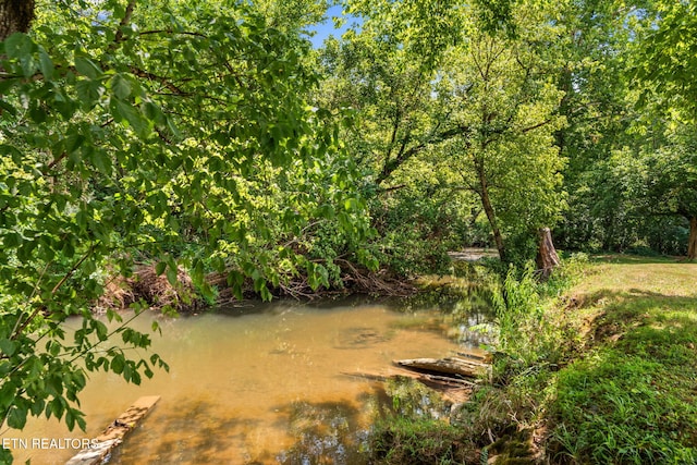 124 E Southwood Ln, Oak Ridge, TN 37830 - photo 36