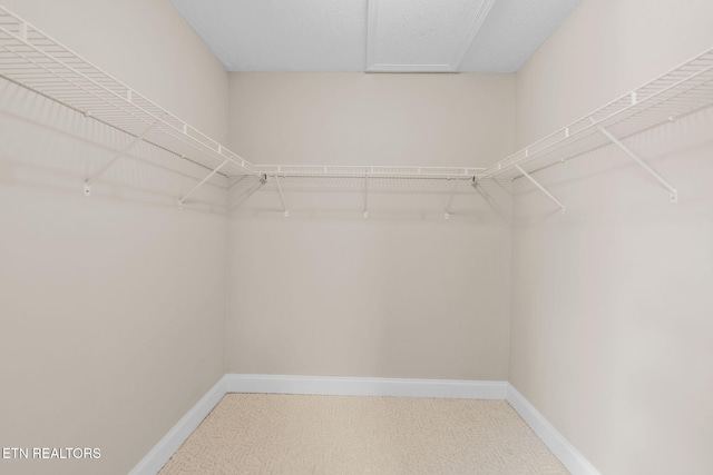 124 E Southwood Ln, Oak Ridge, TN 37830 - photo 28