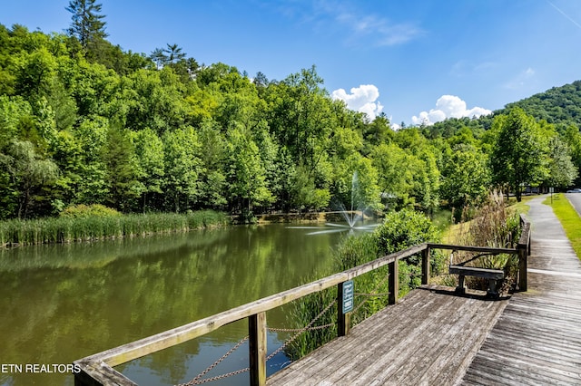 483 Chetola Trl, Townsend, TN 37882 - photo 9