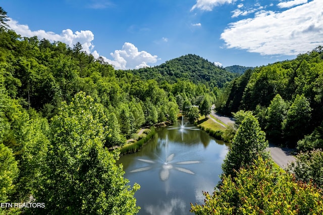 483 Chetola Trl, Townsend, TN 37882 - photo 4