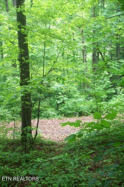 483 Chetola Trl, Townsend, TN 37882 - photo 1