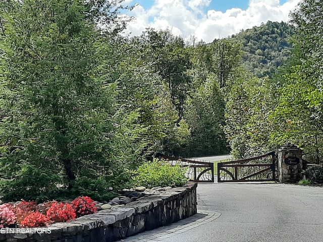 483 Chetola Trl, Townsend, TN 37882 - photo 10