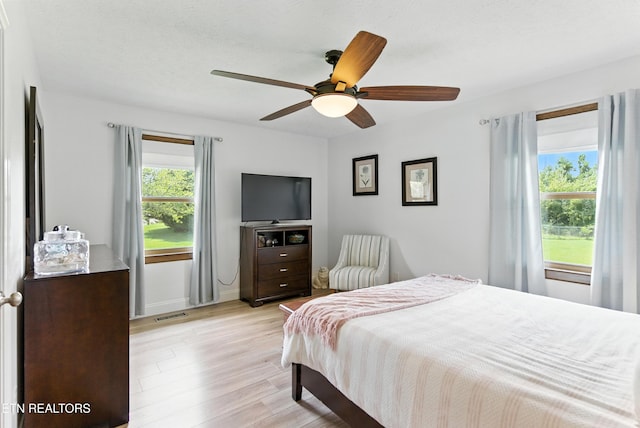 7415 Lena Ln, Knoxville, TN 37938 - photo 25