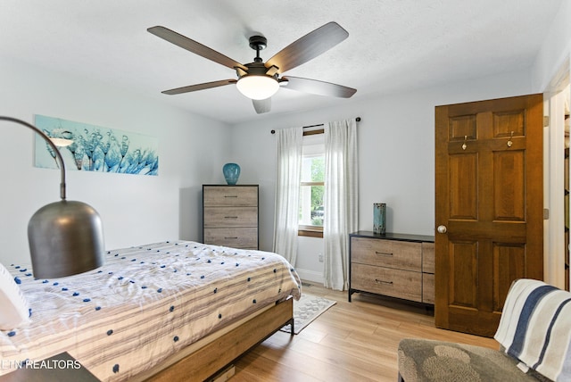 7415 Lena Ln, Knoxville, TN 37938 - photo 28