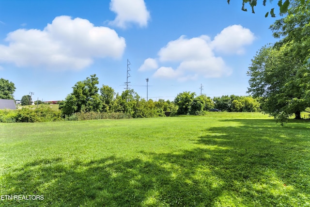 7415 Lena Ln, Knoxville, TN 37938 - photo 50