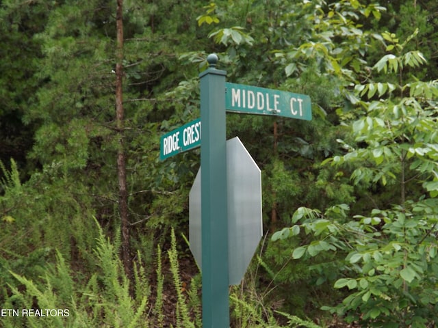 540 Ridge Crest Dr, New Tazewell, TN 37825 - photo 44