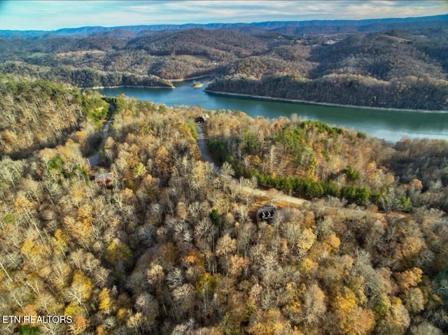 540 Ridge Crest Dr, New Tazewell, TN 37825 - photo 9