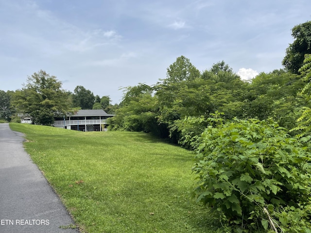 2531 Highland Park Dr, Pigeon Forge, TN 37863 - photo 29