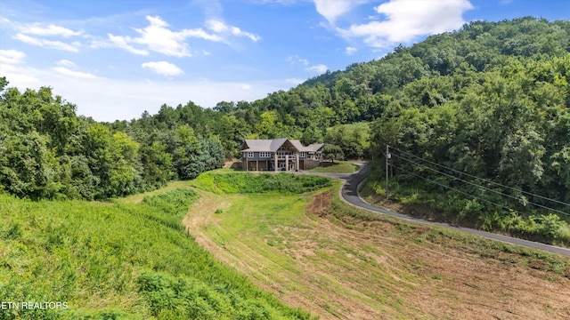1823 Alvins Ridge Dr, Sevierville, TN 37876 - photo 58