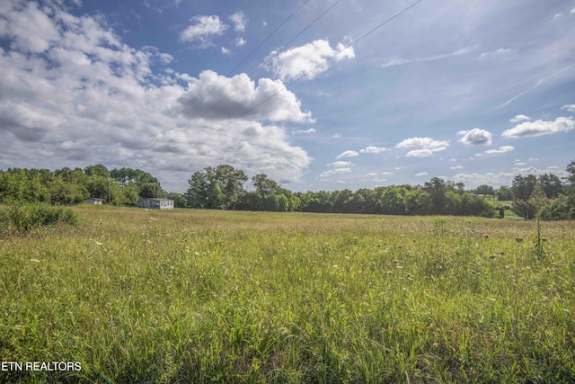 1000 Fipps Ln, Greenback, TN 37742 - photo 30