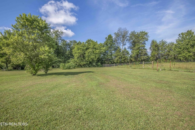 1000 Fipps Ln, Greenback, TN 37742 - photo 31