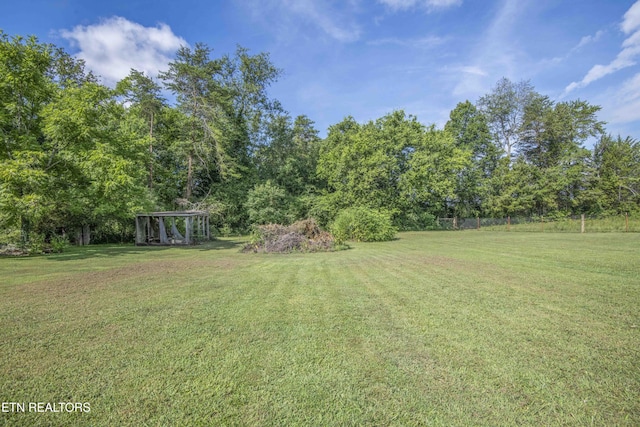 1000 Fipps Ln, Greenback, TN 37742 - photo 32