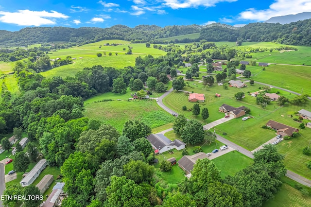 1038 Valley View Cir, Sevierville, TN 37876 - photo 5