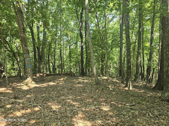 16 Trentwood Ter, Crossville, TN 38558 - photo 1