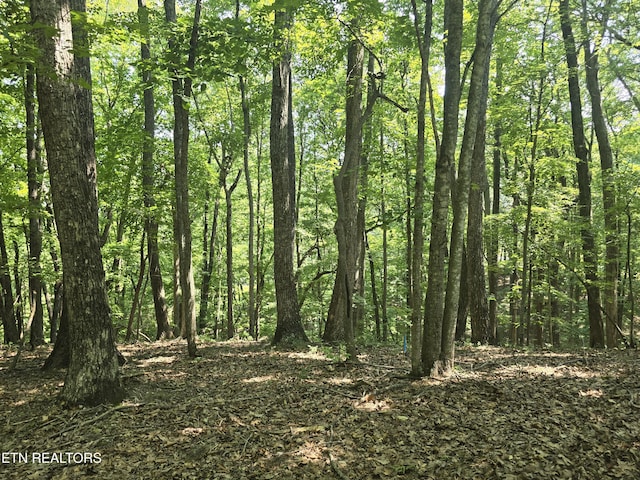 16 Trentwood Ter, Crossville, TN 38558 - photo 2