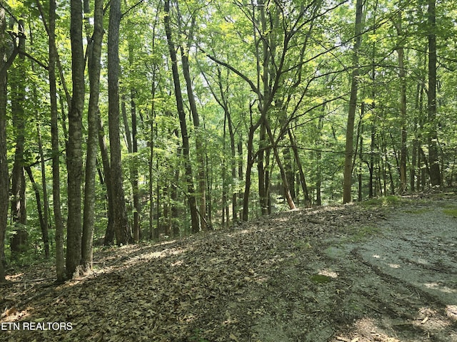 16 Trentwood Ter, Crossville, TN 38558 - photo 3