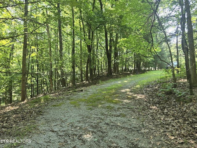 16 Trentwood Ter, Crossville, TN 38558 - photo 4