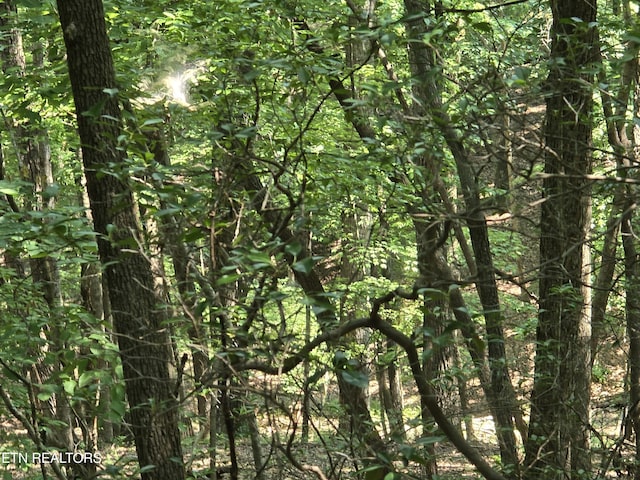 16 Trentwood Ter, Crossville, TN 38558 - photo 5