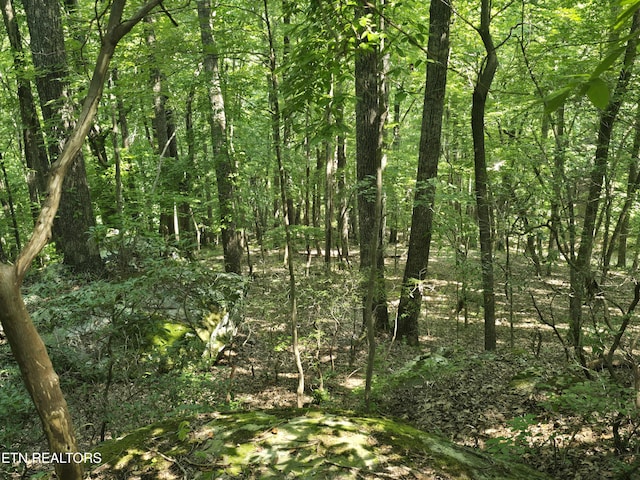 16 Trentwood Ter, Crossville, TN 38558 - photo 6