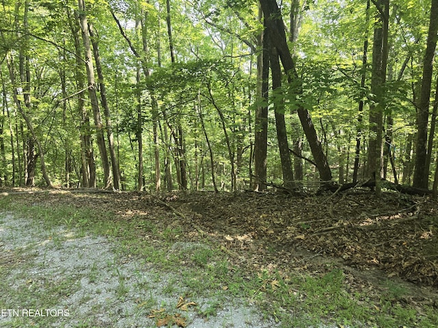16 Trentwood Ter, Crossville, TN 38558 - photo 7