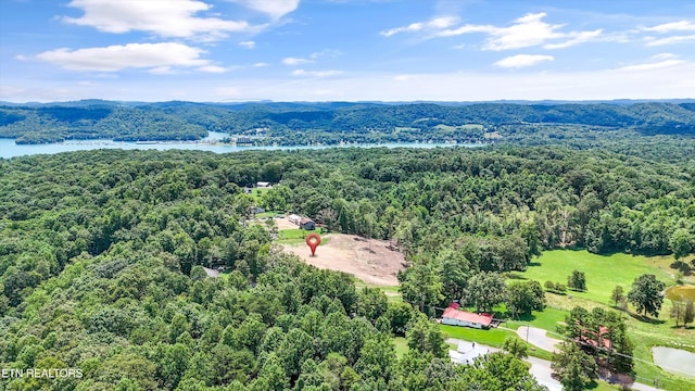 0 Mcafee Rd, Andersonville, TN 37705 - photo 4