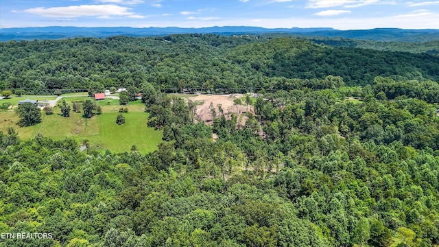 0 Mcafee Rd, Andersonville, TN 37705 - photo 5